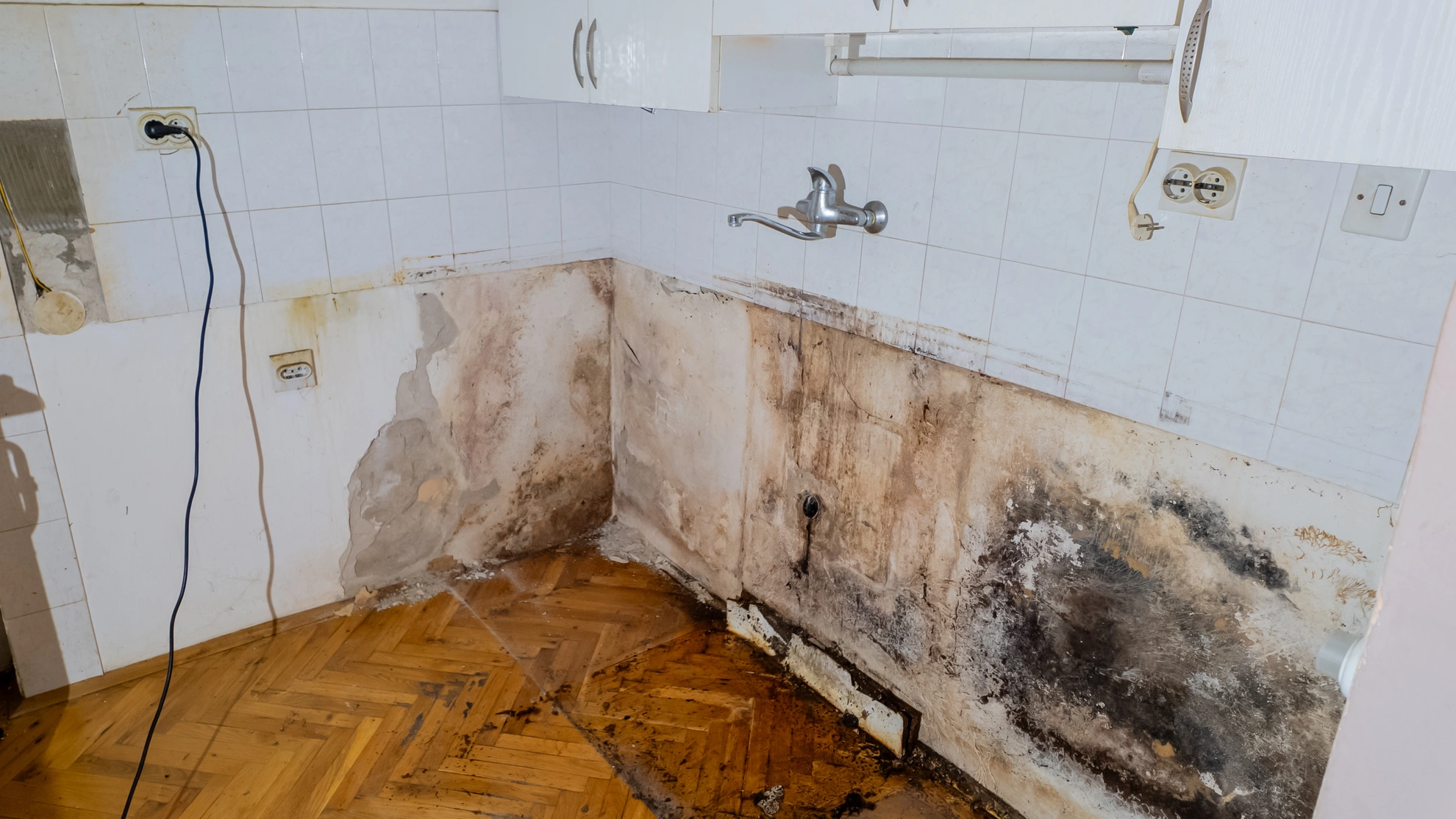 moho en la cocina detrás de paredes y azulejos